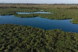 Bañados de Carrascojpg