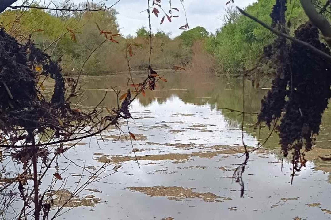 arroyo casupá