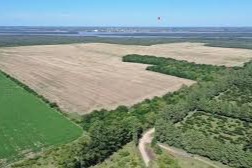 planta de HIF en Paysandú