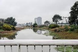 vecinos del Arroyo Carrasco