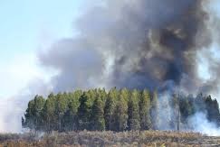 Incendio de grandese Cardona