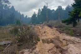 Incendio forestal en Rochaes