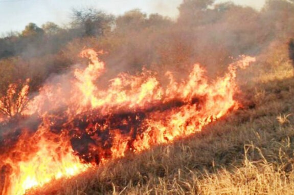 Incendios campos 