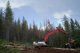 Incendios forestales bosques en EEUU