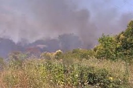 Se registraron varios incendios de campo en el sur