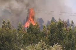 incendio de campo de Melilla