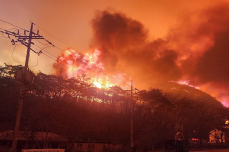 incendios forestales2