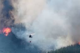 incendios forestales en la Patagonia de Argentina