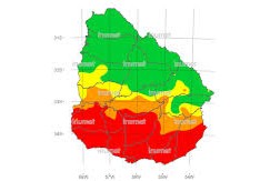 incendios forestales en la zona sur de Uruguay