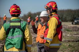 Montes del Plata incendios forestales