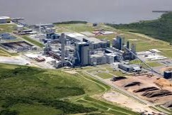 upm2 parada