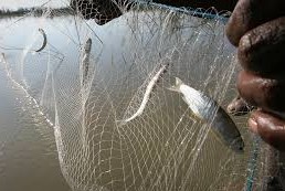 Ancap volvió a suministrar gasoil a pesqueros