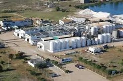 Efice mercurio Minamata