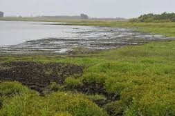 proteger fuentes de agua