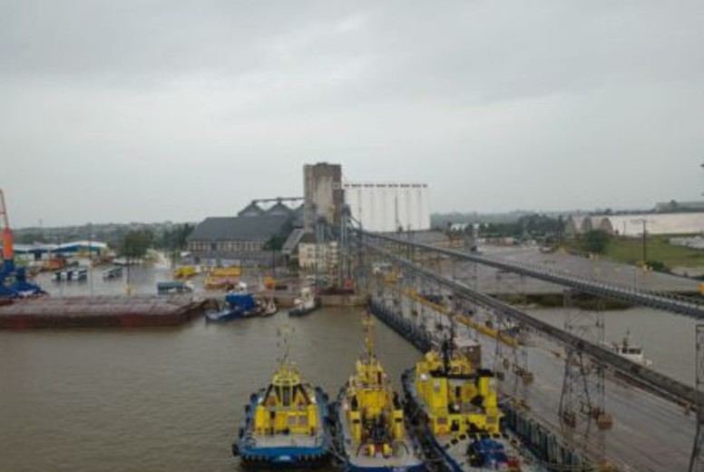 puerto palmira nueva