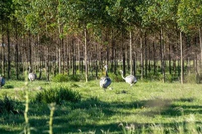 bioparque
