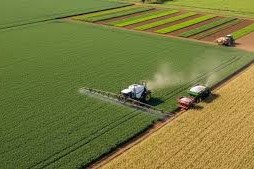 América Latina en fertilizantes