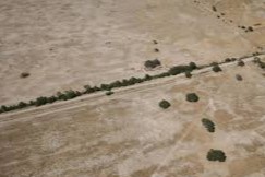 Argentina declaró emergencia agropecuaria