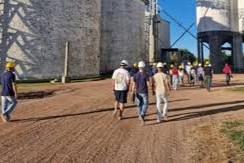 CAF y la FAO