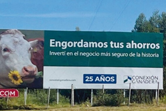 Conexión Ganadera