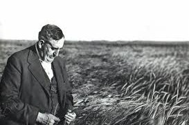 Día Nacional del Fitomejoramiento