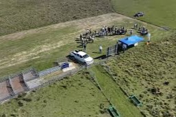 INIA pastoreo sobre campo naturaljpg