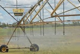 Jornada sobre riego en pasturas