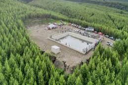 Industria forestal de Ecuador