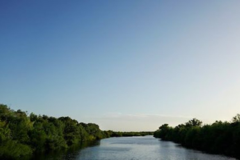 catástrofe tropical