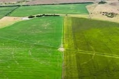 Producción Agropecuaria2