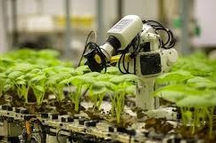 Transformar digitalmente