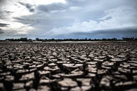 cambio climático