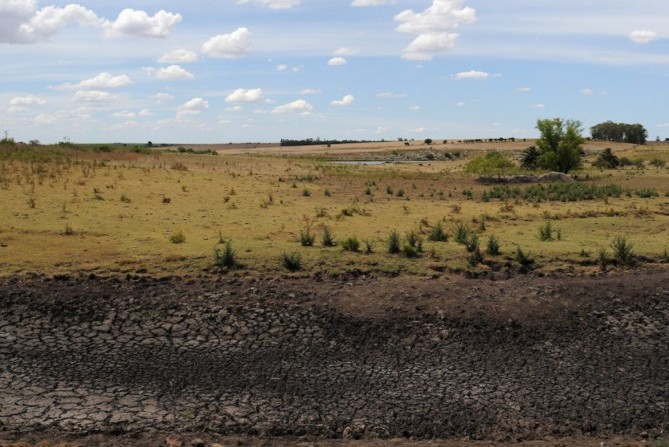 campo sequia