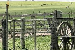 campo