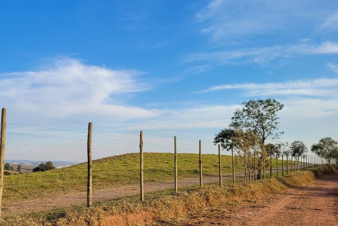 campo 1