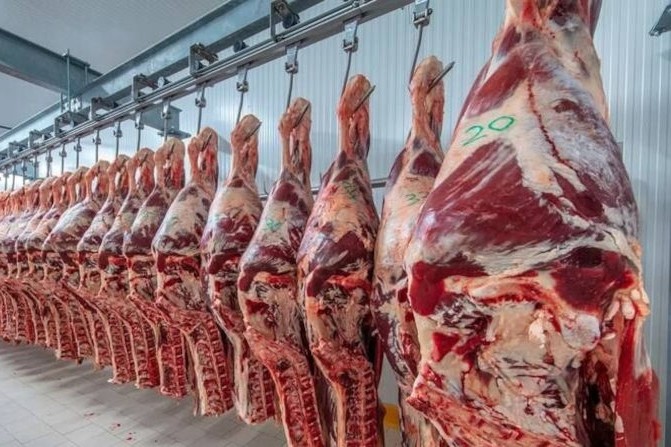 carne