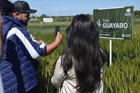 cultivos de invierno de ADP