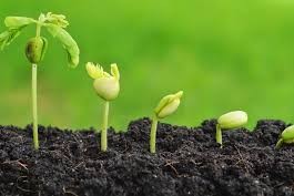 fertilizar el futuro