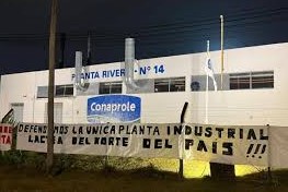 planta de rivera tras graves