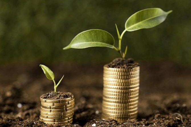 planta