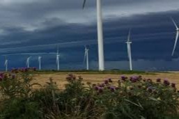Parques eólicos