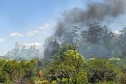 Incendios forestales