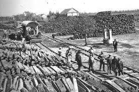 La Forestal y la devastación que duró casi un siglo