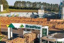 Rivera empresa brasileña