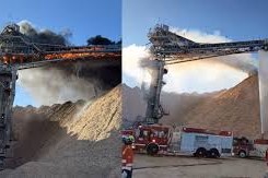 arauco incendio