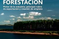 boom del sector forestal