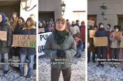 empresa forestal por sus plantaciones