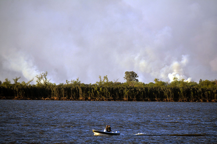 humedales en el Delta del Paraná