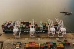 ley contra la deforestación