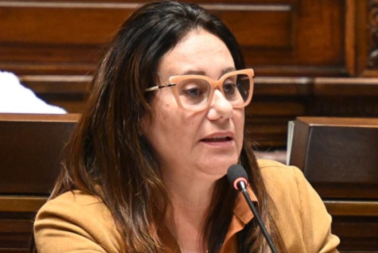 diputada Cecilia Badín
